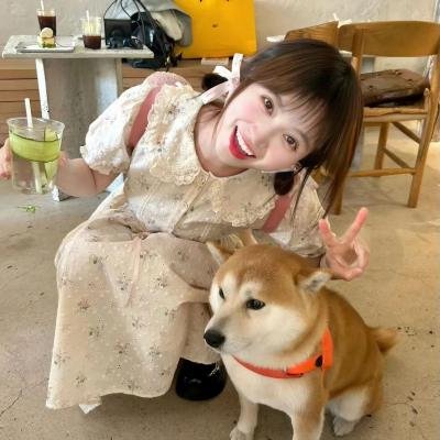夏尔马吉的小吃
